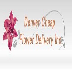 Image for Same Day Flower Delivery Denver with ID of: 2011870