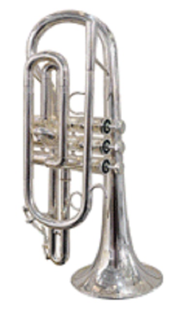 Image for The Musicians Assistant with ID of: 2012269