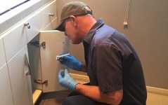 Image for Assured Restoration Services Inc with ID of: 2014177