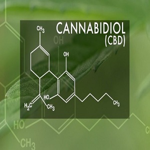 Image for NeuroEndoceuticals, LLC with ID of: 2016612