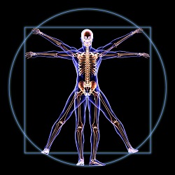 Image for NeuroEndoceuticals, LLC with ID of: 2016618