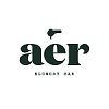 Image for aer blowdry bar with ID of: 2016648
