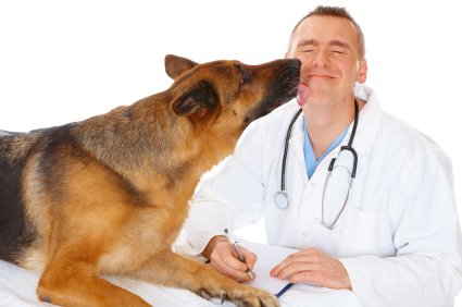 Image for Veterinary Orthopedics with ID of: 2016970