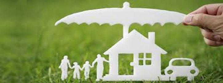 Image for Hatim Insurance Company with ID of: 2019699