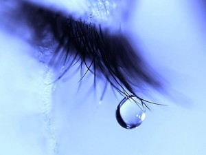 Image for riciwofu with ID of: 2020476