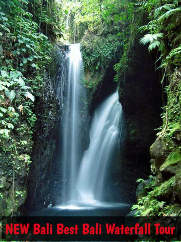Image for Bali Waterfall Adventure with ID of: 2021115