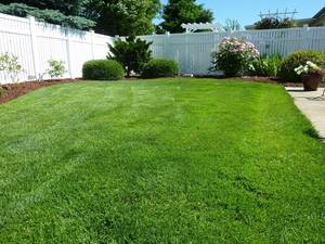 Image for Southport Home Improvements with ID of: 2022385