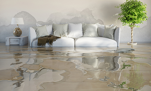 Image for Greater Houston Water Damage with ID of: 2023009