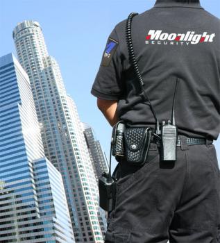 Image for Moonlight Security, Inc. with ID of: 2023132