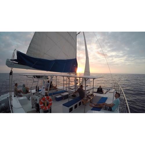 Image for Paradise Sailing Hawaii with ID of: 2023439