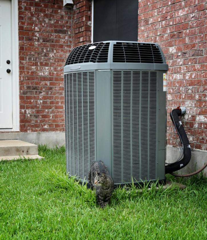 Image for California Energy Services with ID of: 2023792