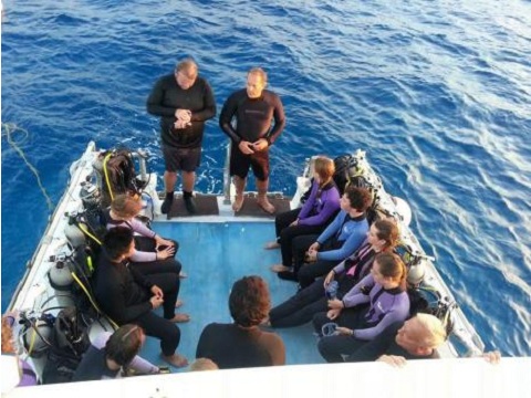 Image for Underwater Oahu with ID of: 2024726
