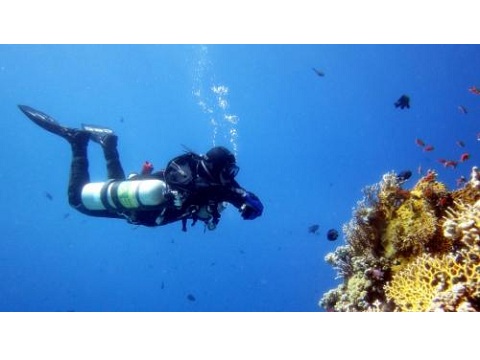 Image for Underwater Oahu with ID of: 2024729