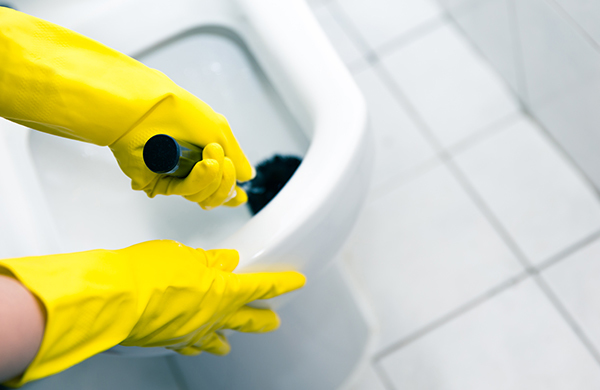 Image for Bewitched Housekeeping with ID of: 2025554