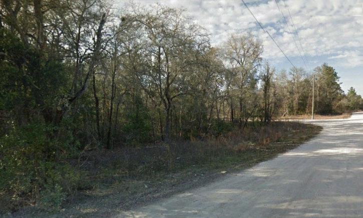 Image for .23 Acre Mobile Friendly Lot with Owner Financing-125 feet from HWY27 with ID of: 2025775