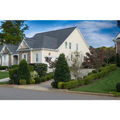 Image for Mr Advocate Mold Removal & Restoration with ID of: 2026405