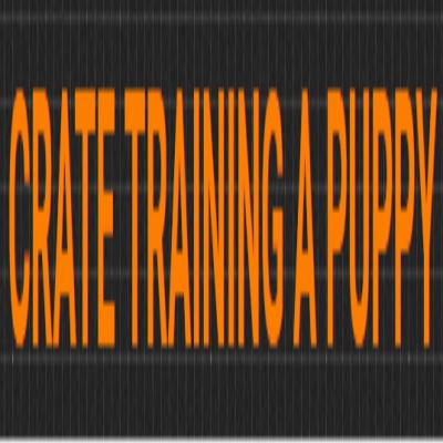 Image for Crate Training a Puppy with ID of: 2028978