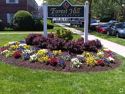 Image for Forest Hill Properties with ID of: 2029034
