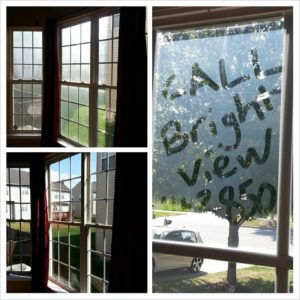 Image for Brightview Cleaning with ID of: 2029541