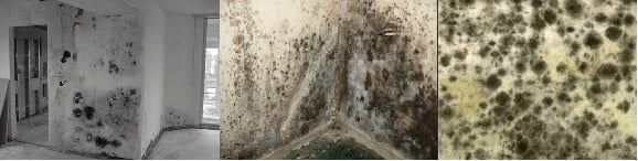 Image for Charlotte Mold Removal - Nano Environmental Solutions with ID of: 2029730