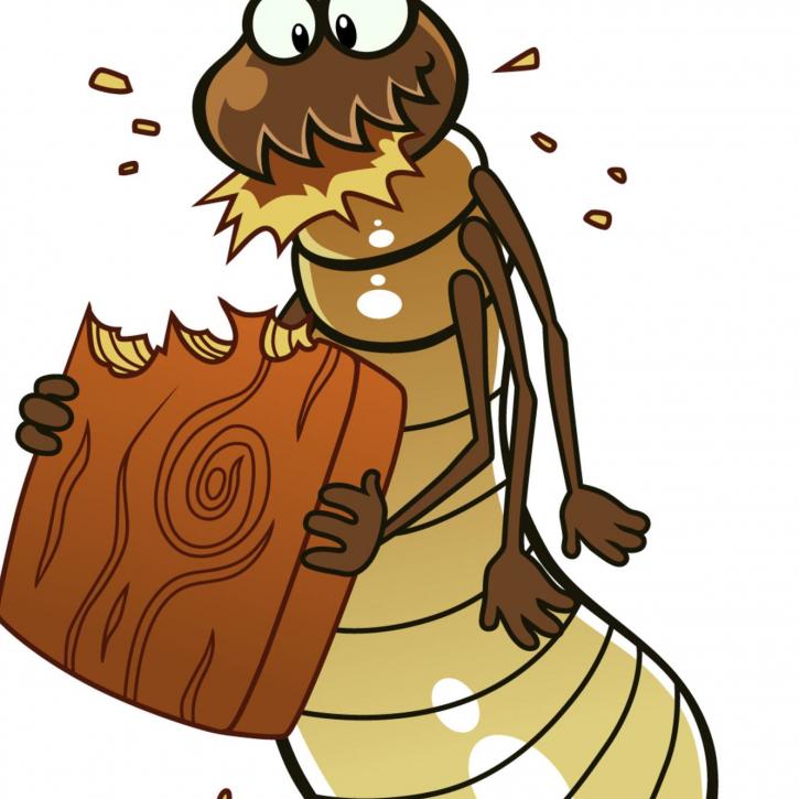 Image for Pro Pest Control Service with ID of: 2029855