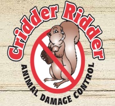 Image for Cridder Ridder with ID of: 2031297