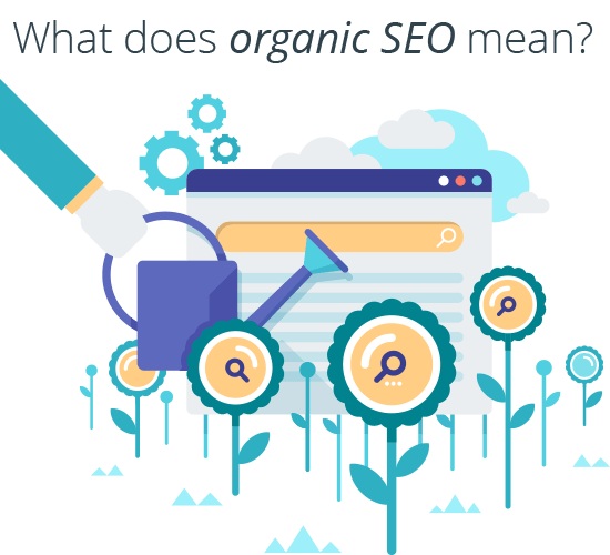 Image for SEO 1 Click with ID of: 2033063