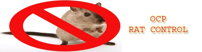 Image for OCP Bed Bug Exterminator Phoenix AZ with ID of: 2033804