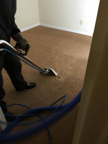 Image for BB Carpet Cleaning with ID of: 2033845