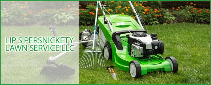 Image for Lip's Persnickety Lawn Service LLC with ID of: 2034472