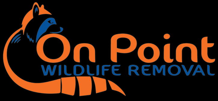 Image for On Point Wildlife Removal with ID of: 2034908