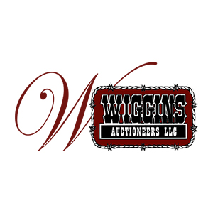 Image for Wiggins Auctioneers LLC with ID of: 2035779