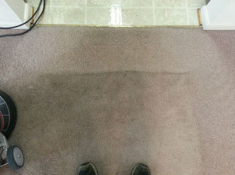 Image for Annapolis Clean Carpet with ID of: 2036408