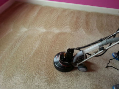Image for Annapolis Clean Carpet with ID of: 2036416