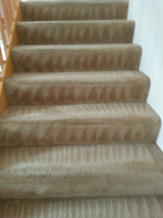 Image for Annapolis Clean Carpet with ID of: 2036421