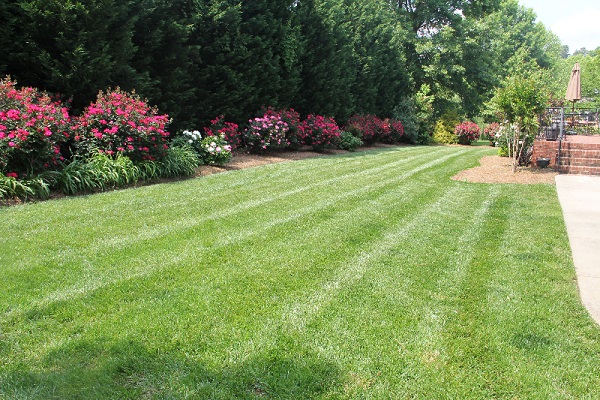 Image for Lawn Impressions with ID of: 2037076