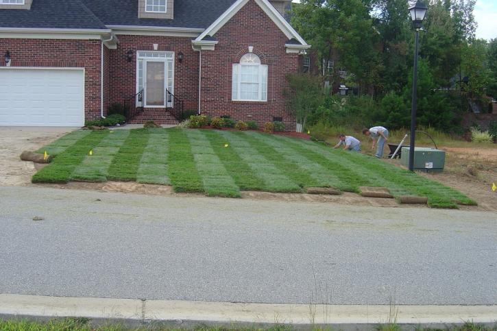 Image for Lawn Impressions with ID of: 2037079