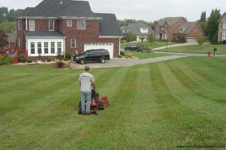 Image for Lawn Impressions with ID of: 2037089
