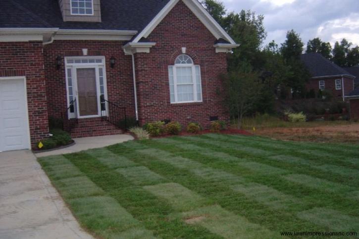 Image for Lawn Impressions with ID of: 2037091