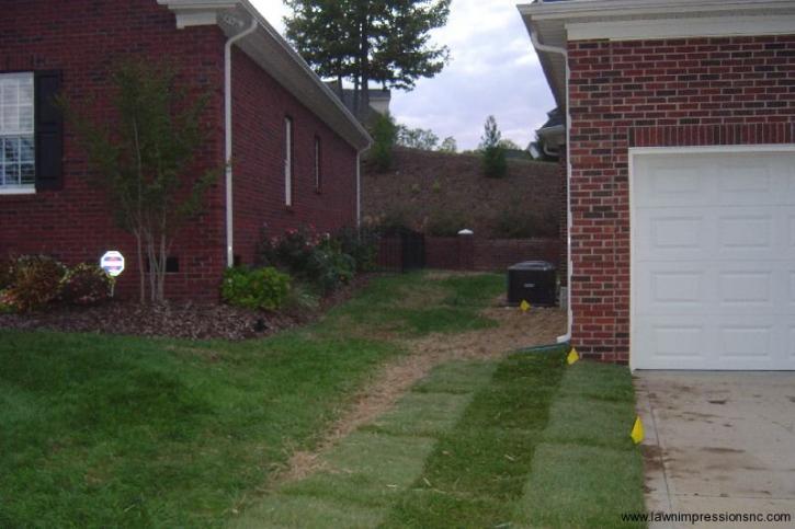 Image for Lawn Impressions with ID of: 2037096