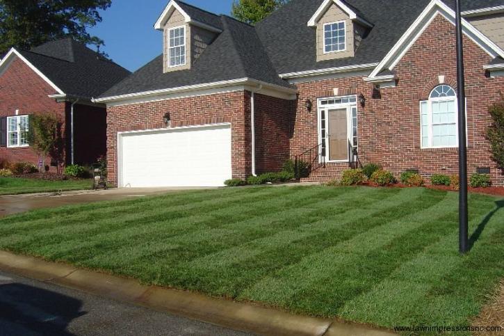Image for Lawn Impressions with ID of: 2037112