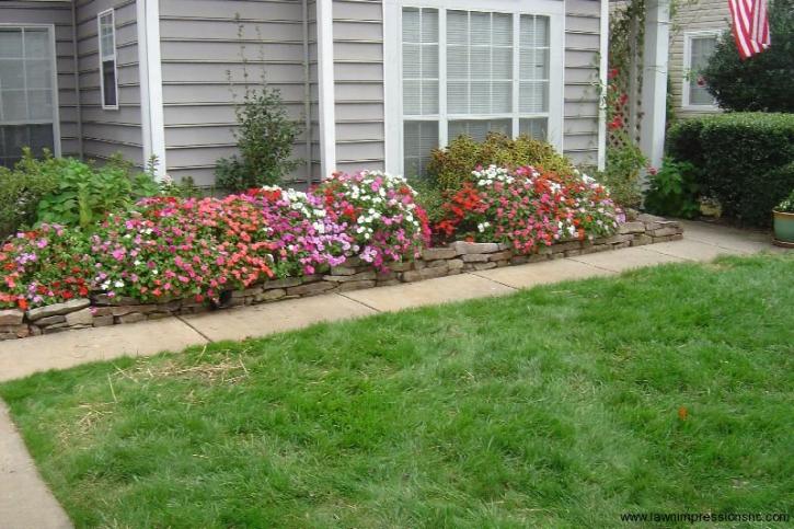 Image for Lawn Impressions with ID of: 2037118