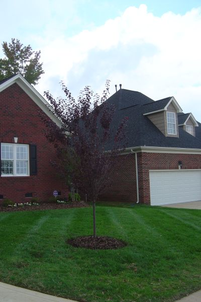 Image for Lawn Impressions with ID of: 2037125