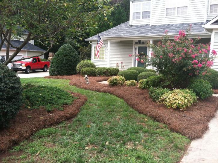 Image for Lawn Impressions with ID of: 2037130