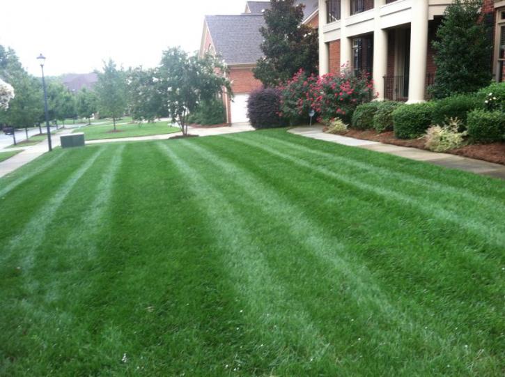 Image for Lawn Impressions with ID of: 2037131