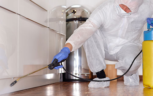 Image for Dougherty Pest Control with ID of: 2037389