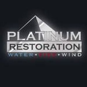 Image for Platinum Restoration with ID of: 2037629