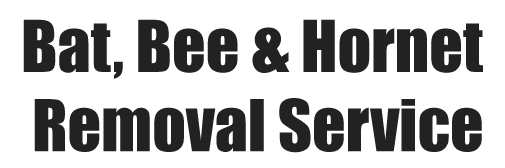 Image for Bat, Bee & Hornet Removal Service with ID of: 2037988
