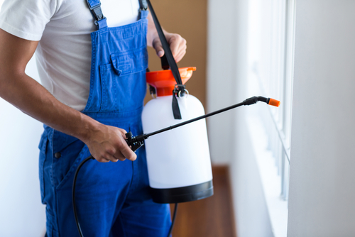 Image for Bat, Bee & Hornet Removal Service with ID of: 2037998