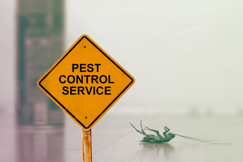 Image for Bat, Bee & Hornet Removal Service with ID of: 2038002